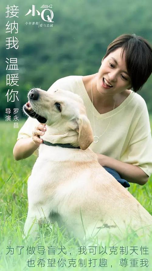 不动产房证申请书